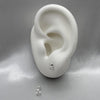 #BR185 - Broquel Rana/Ranita Plata - E18