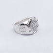 #AC132 - Anillo Caballero - IP10.0
