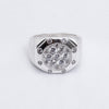 #AC132 - Anillo Caballero - IP10.0