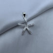 #D540  - Dije Estrella De Mar De Plata - AI1.4